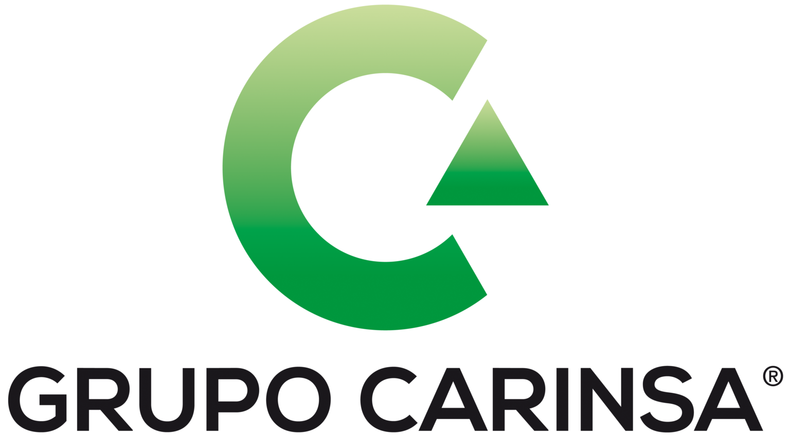 NEW logo_GRUPO CARINSA
